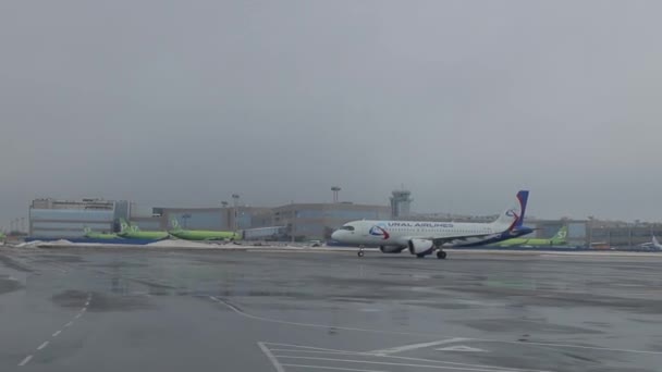 Domodedovo havaalanında Dolly 'nin uçakları vuruldu. Ural Havayolları uçağı hareket ediyor. — Stok video