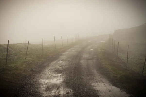 Polna droga z mgły Zdjęcia Stockowe bez tantiem