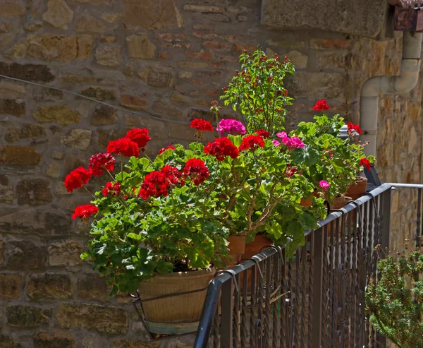 Pequeño balcón toscano con geranios florecientes — Foto de Stock