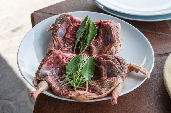 Pigeon ready for grill — Stock Photo, Image