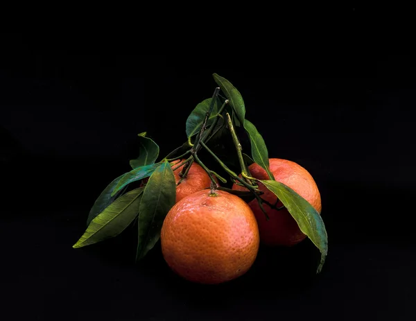 Group of red tomatoes — Stock Photo, Image