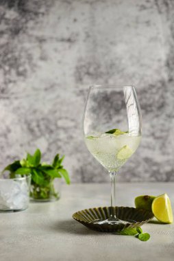 Naneli mojito ve bardakta limon. Yüksek kalite fotoğraf