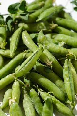 Beyaz arkaplanda yeşil bezelyeler ve kabuklar