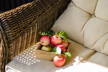 Bahçeden yapraklı kırsal elmalar