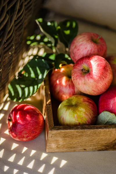 Rustic apples from the garden with leaves — Stock Photo, Image