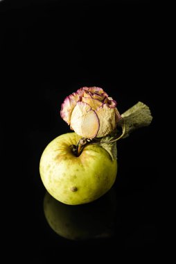 Siyah arkaplanda elma