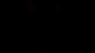 Retro projektör tarzı film flaş döngüleri ve kusursuz animasyon. Üst üste bindirmeler, geçişler, müzik videoları ve klasik hareketli grafikler için mükemmel.