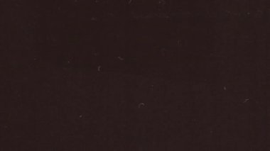 Öğütülmüş dokuları ve toz parçacıkları olan yatay film tahıl döngüsü. Örtüler, arka planlar, retro efektler ve video düzenleme projeleri için uygundur.