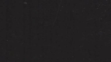 Retro mikrofiş tarama geçişi hem dikey hem de yatay döngülerle yapılır. Biçimlendirilmiş düzenleme, arıza kesme, geçmişe dönük araç gereç kitleri ve kaplama tabanlı hareket grafikleri için ideal.