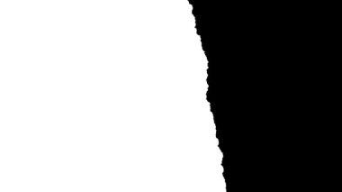 Sert organik dokuya sahip hızlı yırtık kağıt mat geçişi. Soldan sağa doğru siyah-beyaz luma eşleşmesi modern video düzenleme boru hatlarına kusursuz bir entegrasyon sağlar..