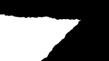 Büyük çapraz yırtık ve organik hareketle hızlı yırtık kağıt mat geçişi. Çapraz mendiller, dinamik açıklamalar ve esnek video düzenleme kullanımı için siyah ve beyaz luma maskesi.