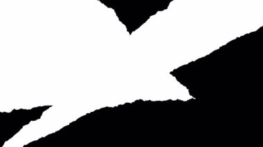 Yırtık kenarlı kağıt mat geçişleri. Her klip, hızlı düzenleme, başlık, tanıtım ve yaratıcı hareket grafikleri projeleri için mükemmel çoklu varyasyonları içerir.