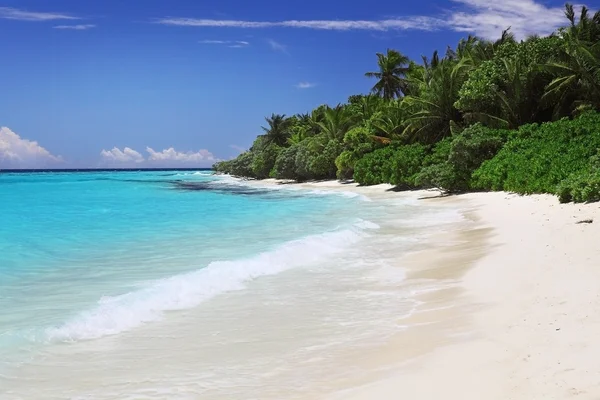 Playa idillyc de Maldivas —  Fotos de Stock