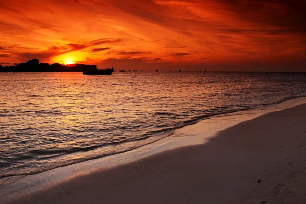 Beach — Stock Photo, Image