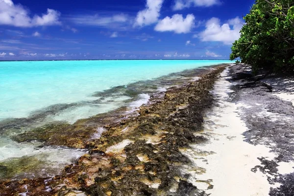 Arrecife — Foto de Stock