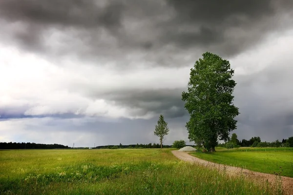 Väg — Stockfoto