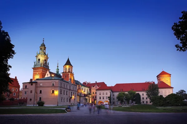 Krakow castle panoramic scene — Stock Photo, Image