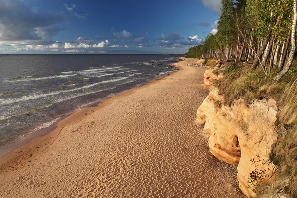 Beautiful evening scenery of a baltic shore — Stock Photo, Image