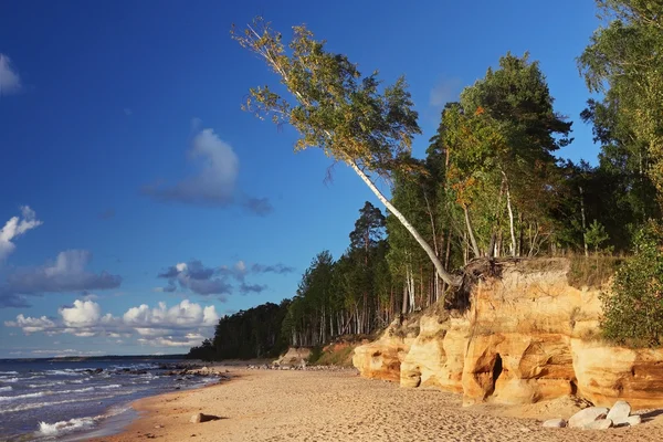 Bellissimo scenario serale di una sponda baltica — Foto Stock