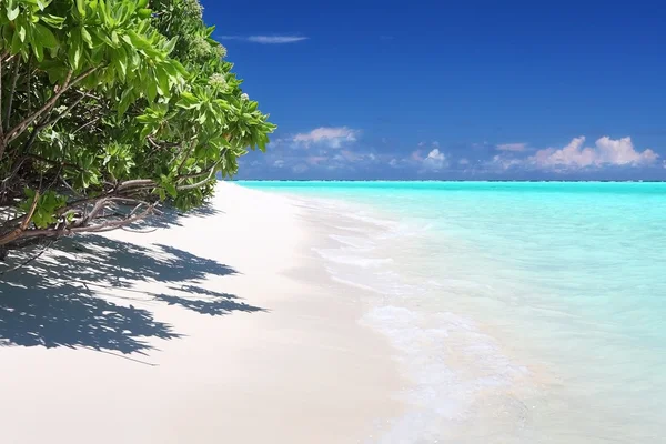 Classic idilic beach scene with sea and trees — Stock Photo, Image