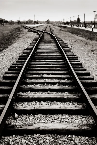 Klasik tarihsel görünüm sepya Auschwitz Ölüm kampında