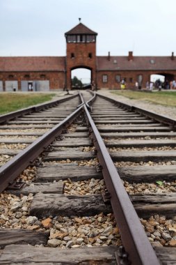 Auschwitz Ölüm kampı renkli klasik tarihsel görünüm