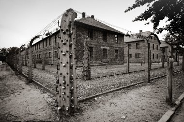 classic historical view of Auschwitz death camp in sepia clipart
