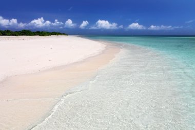 Deniz ve ağaçlar ile klasik idilic plaj manzara