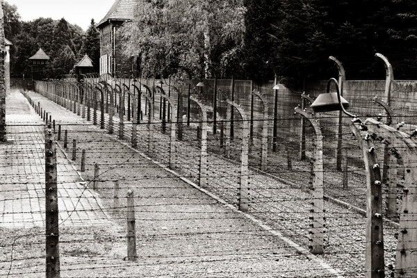 классический исторический вид лагеря смерти Освенцима в сепии
