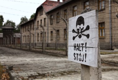Auschwitz Ölüm kampı renkli klasik tarihsel görünüm