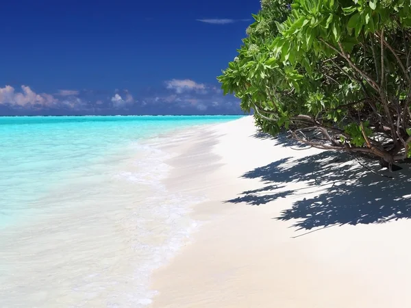 Мальдивская идиллическая пляжная сцена — стоковое фото