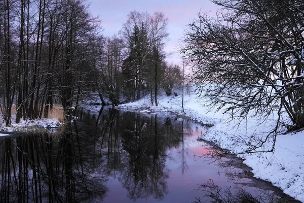 Winterlandschap met paarse luchten in de avond — Stockfoto