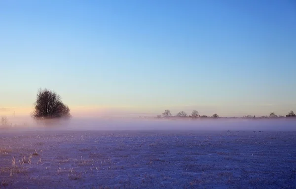 Winter avond scène van een veld met sneeuw bedekt — Stockfoto