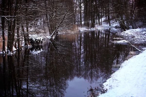 Paesaggio invernale con cieli viola la sera — Foto Stock