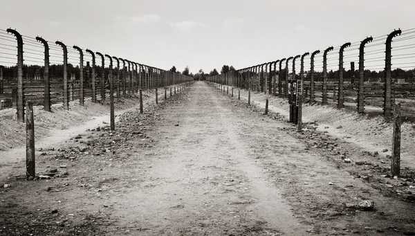 Campo da morte de Auschwitz — Fotografia de Stock