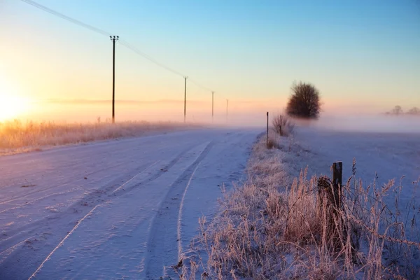 Avond scène van een veld — Stockfoto