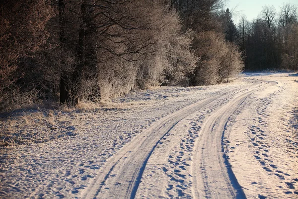 Lantlig väg på kvällen — Stockfoto