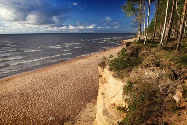 Evening baltic beach — Stock Photo, Image
