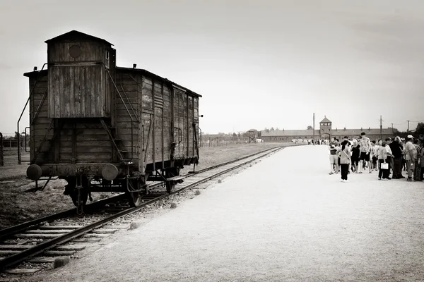 Transporte de madeira de Auschwitz — Fotografia de Stock