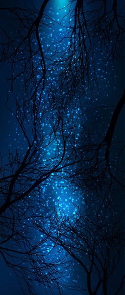 Silueta de árboles vectoriales con cielo nocturno estrellado. Galaxia Vía Láctea — Vector de stock