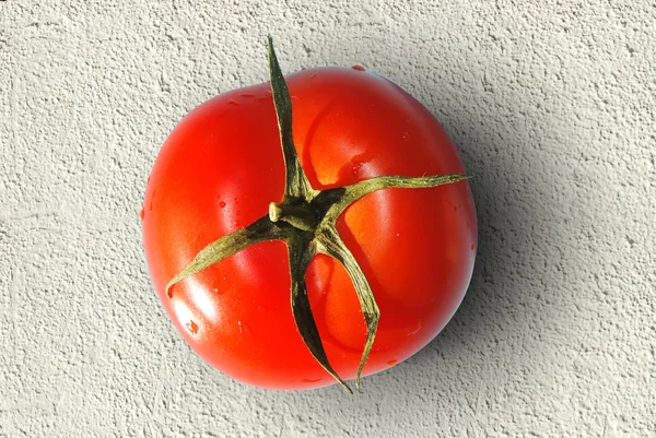 One fresh isolated tomato — Stock Photo, Image