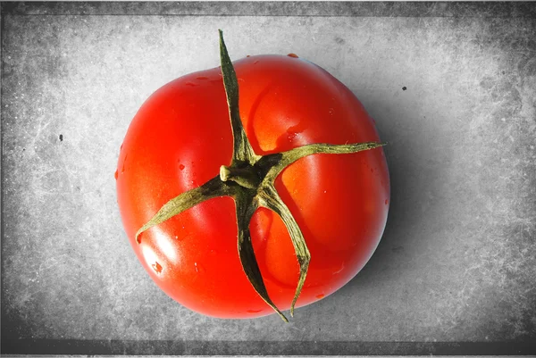 One fresh isolated tomato — Stock Photo, Image