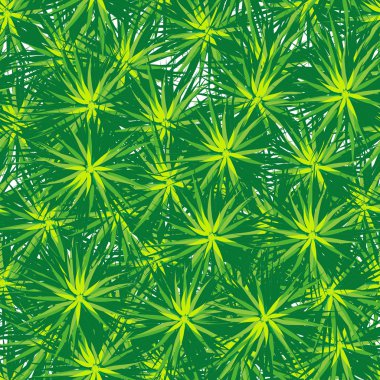 Noel sorunsuz arka plan