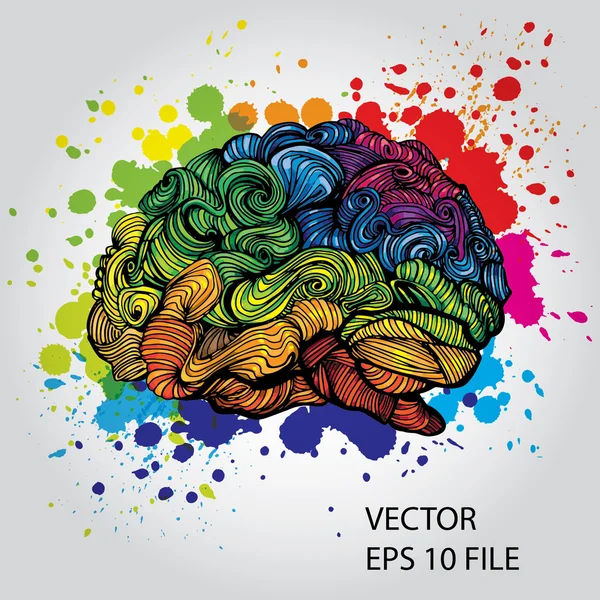 Doodles sobre el cerebro — Vector de stock