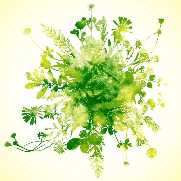 緑の夏の葉 — ストックベクタ