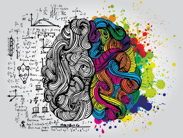 Kreatives Konzept des menschlichen Gehirns — Stockvektor