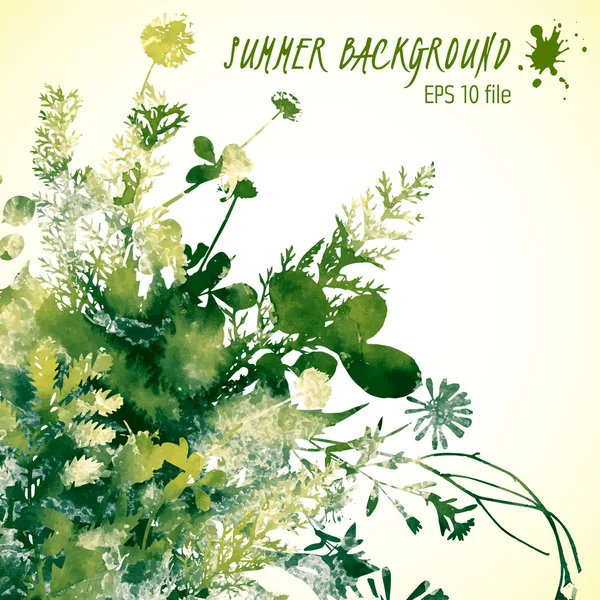 Grüne Sommerblätter — Stockvektor