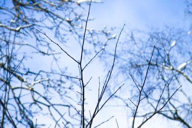 Güzel kış manzarası