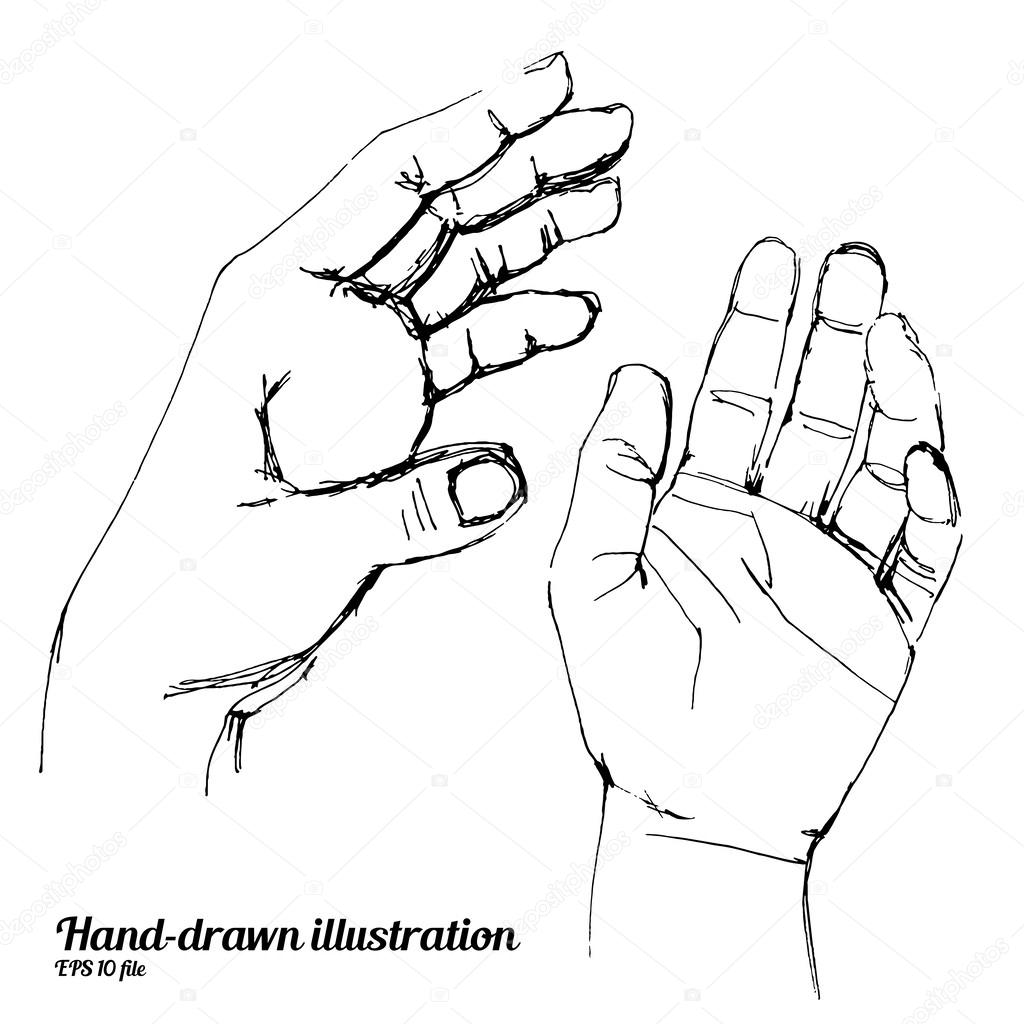 Human hands sketch