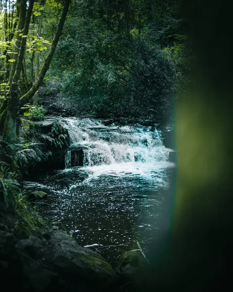 Woodland Waterval Die Leidt Naar Hoofdstroom — Stockfoto